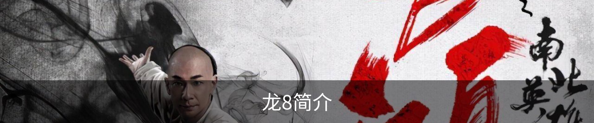 龙8简介